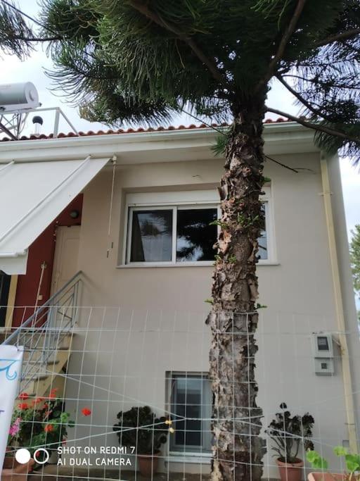 Grecos Apartment Πρέβεζα Εξωτερικό φωτογραφία